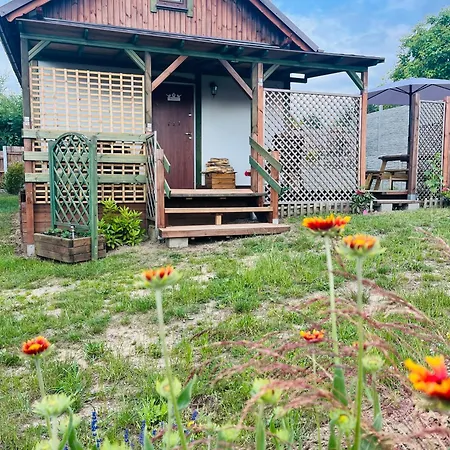 Przy Wesolej ビエレ